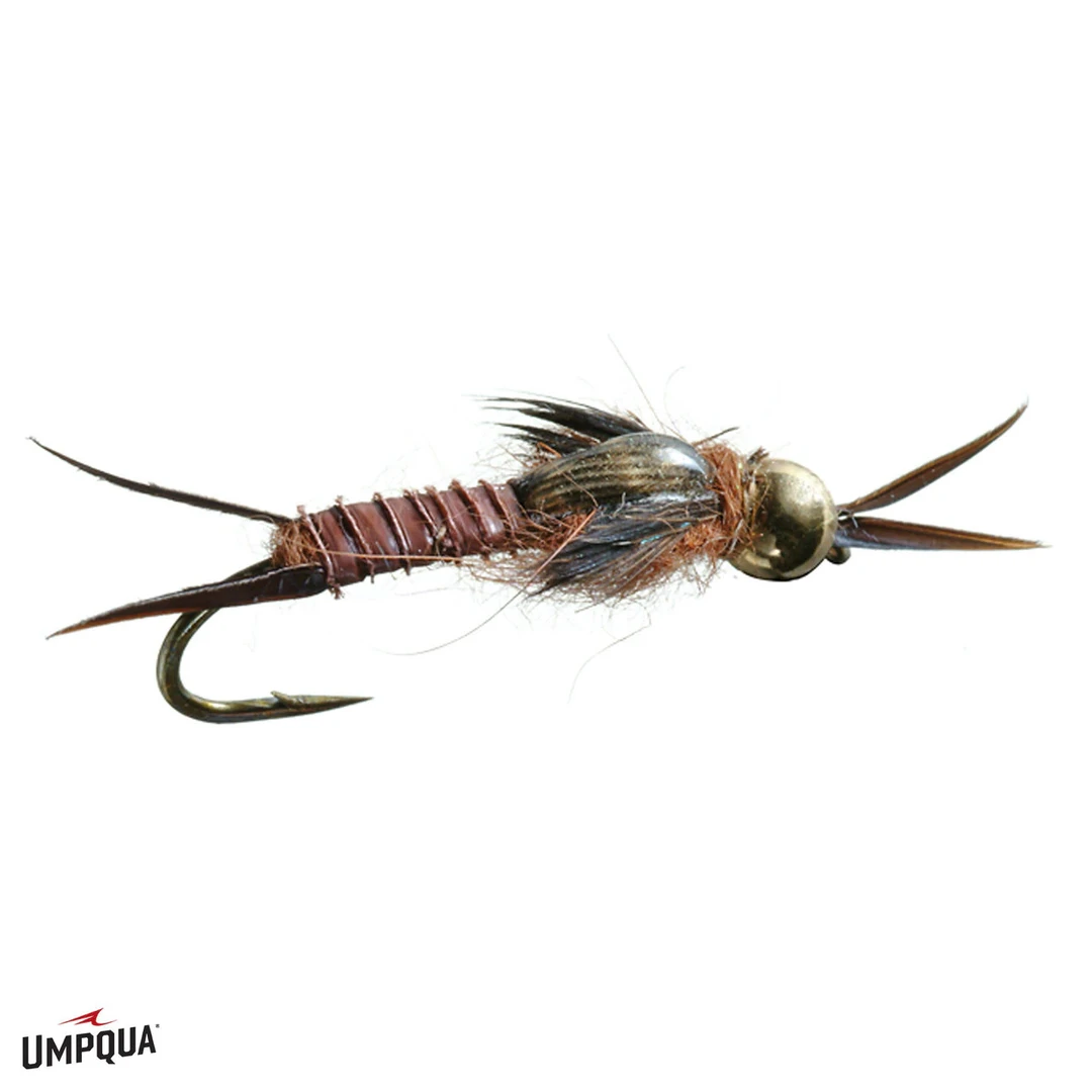 Umpqua Feather Merchants Umpqua Biot Epoxy Stonefly 4 Umpqua Feather Merchants Umpqua Biot Epoxy Stonefly