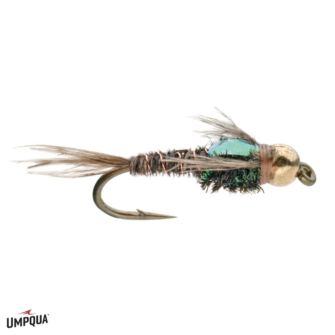 Umpqua Feather Merchants TROUT Umpqua Flashback Pheasant Tail Gold Bead 3 Umpqua Feather Merchants TROUT Umpqua Flashback Pheasant Tail Gold Bead