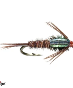 Umpqua Feather Merchants Umpqua Flashback Pheasant Tail TROUT