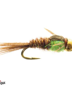Umpqua Feather Merchants Umpqua Hot Belly Pheasant Tail Gold Bead