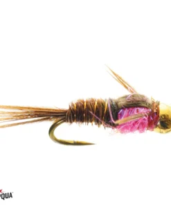 Umpqua Feather Merchants Umpqua Hot Belly Pheasant Tail Gold Bead