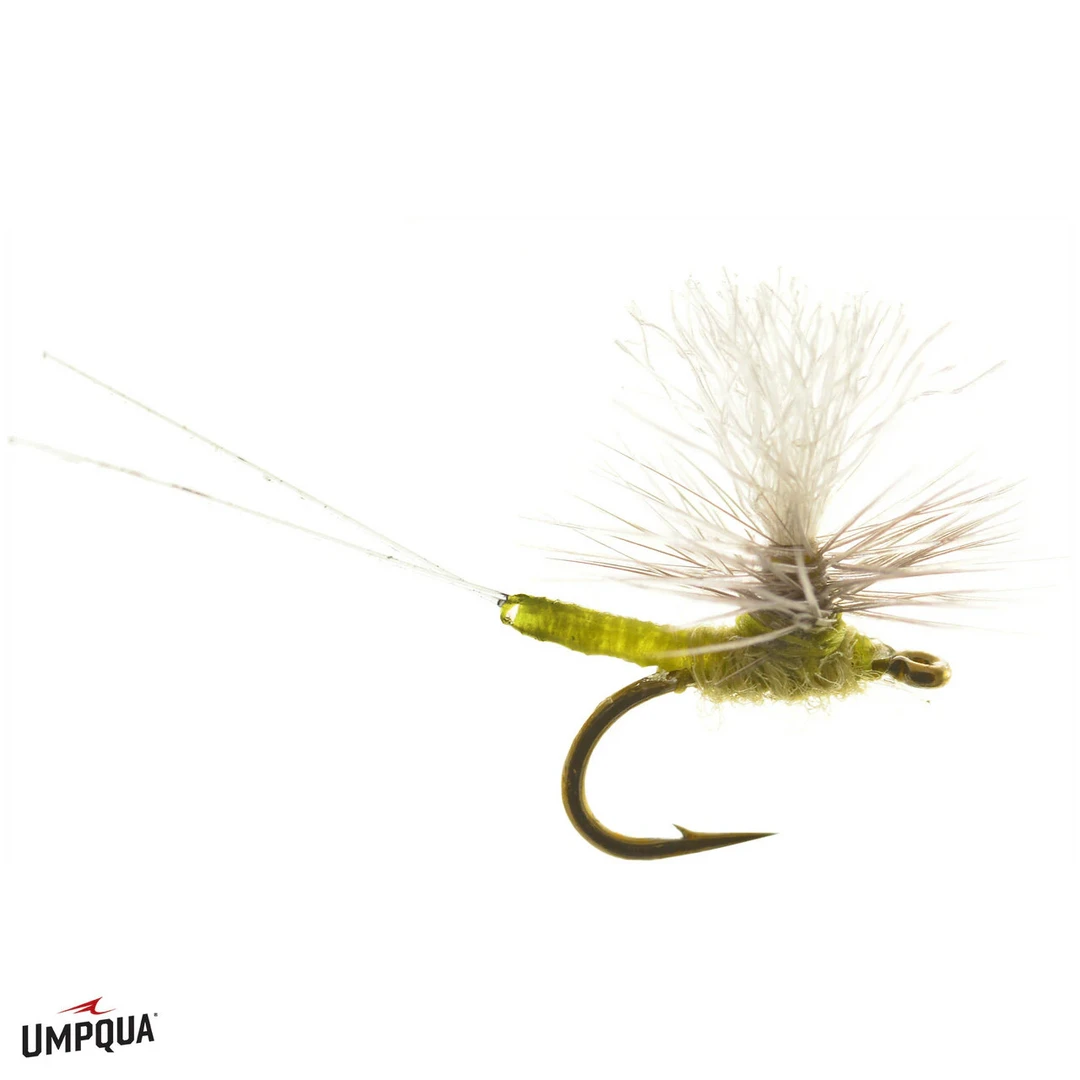 Umpqua Feather Merchants FLIES Umpqua Iwan-E-Dun Para 4 Umpqua Feather Merchants FLIES Umpqua Iwan-E-Dun Para
