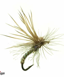 Umpqua Feather Merchants Umpqua Missing Link Caddis