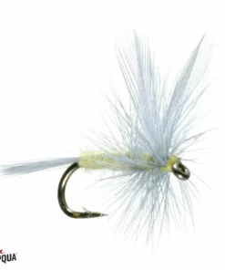 Umpqua Feather Merchants Umpqua PMD Lawson TROUT
