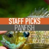 Umpqua Feather Merchants Staff Picked Flies - Panfish