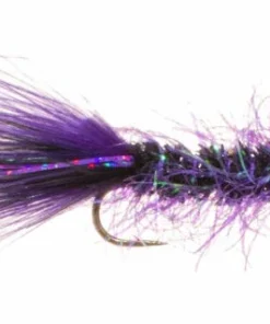 Umpqua Feather Merchants FIVE FLIES SERIES Five Flies May - Pops Bugger - Purple/Orange