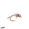 Umpqua Feather Merchants Umpqua Rainbow Warrior CDC Tungsten TROUT