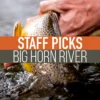 Umpqua Feather Merchants Staff Picked Trout Flies - Big Horn River