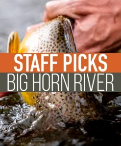 Umpqua Feather Merchants Staff Picked Trout Flies - Big Horn River