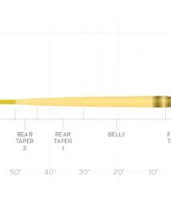 LINES Scientific Anglers Amplitude Smooth Infinity Camo Fly Line