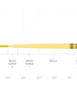 LINES Scientific Anglers Amplitude Smooth Infinity Fly Line