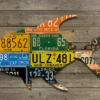 Cody's Fish License Plate Creations - Permit