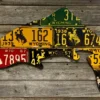 Cody's Fish License Plate Creations - Trout