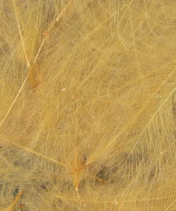 TYING MATERIALS Hareline UV2 Select CDC Feathers