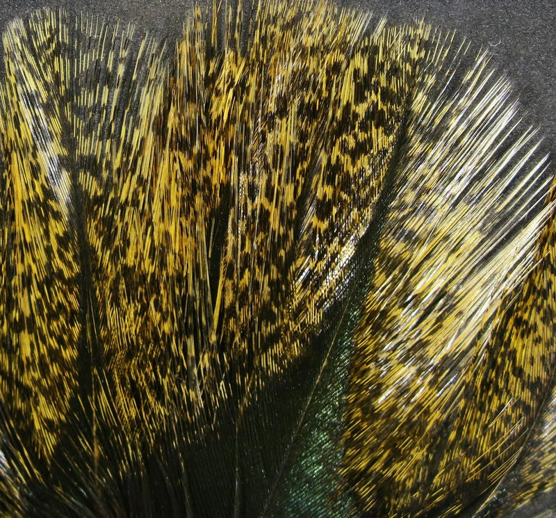 Hareline Coq De Leon Speckled Pardo FLY TYING 3 Hareline Coq De Leon Speckled Pardo FLY TYING