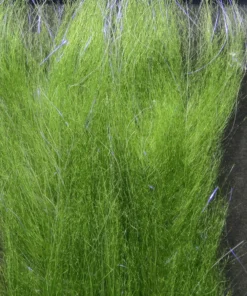 Hareline Polar Fiber Brush