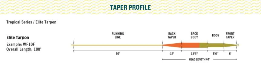 Rio Products RIO Elite Tarpon Fly Line 6 Rio Products RIO Elite Tarpon Fly Line