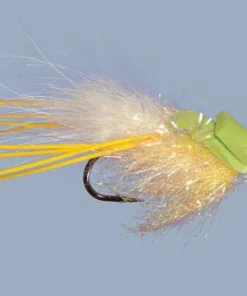 WARM WATER Rainy's Goggle Eyed Gurgler