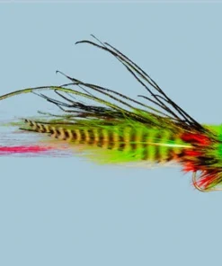 Rainy's El Chupacabra WARM WATER 7 Rainy's El Chupacabra WARM WATER