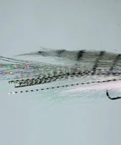 WARM WATER Rainy's Truffle Shuffle