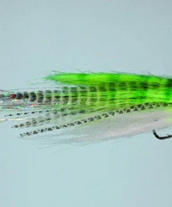 WARM WATER Rainy's Truffle Shuffle