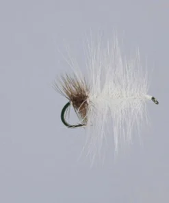 WARM WATER Rainy's Cotton Ball