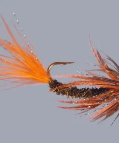 WARM WATER Rainy's Carp Breakfast