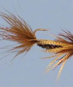 WARM WATER Rainy's Carp Breakfast