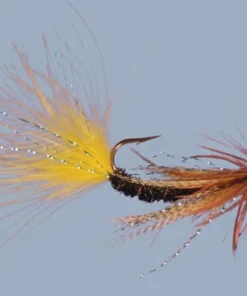 WARM WATER Rainy's Carp Breakfast