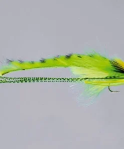 Rainy's Joom Deep Diver