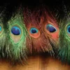 FLY TYING Hareline Peacock Eyes