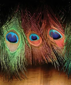 FLY TYING Hareline Peacock Eyes