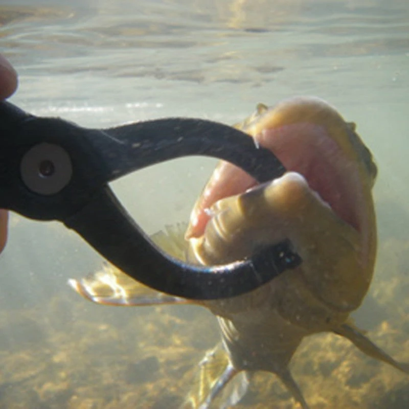 Rising Special Blend Lippa4Life TOOLS 3 Rising Special Blend Lippa4Life TOOLS