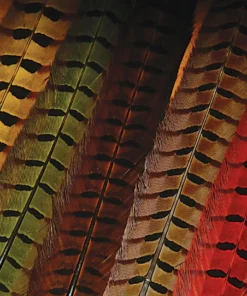 FLY TYING Hareline Pheasant Tail Feathers